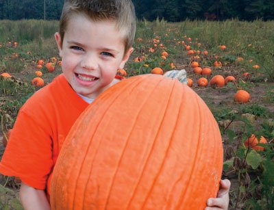 Pumpkin Patch Virginia